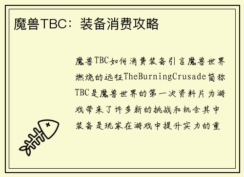 魔兽TBC：装备消费攻略